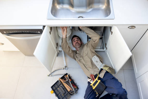 Best Plumbing Inspection Services  in Heyworth, IL