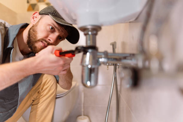  Heyworth, IL Plumbing Pros