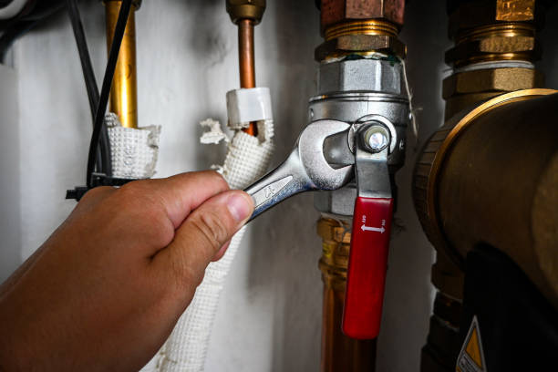 Best Water Softener Installation  in Heyworth, IL
